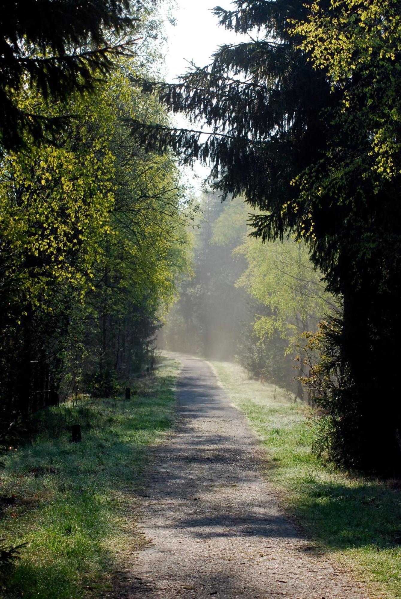 Waldgasthaus & Pension Teichhaus Holzhau Zewnętrze zdjęcie
